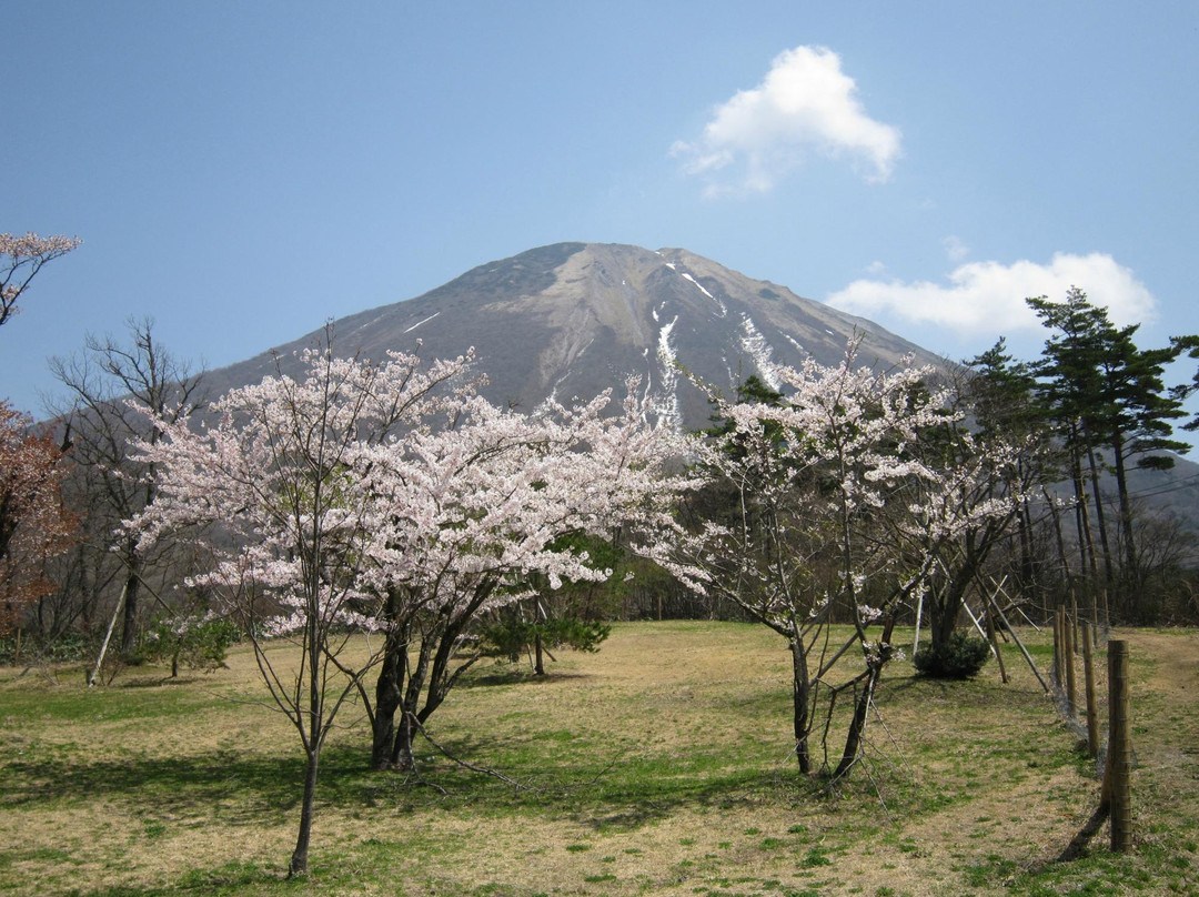 Daisen Makiba Milk no Sato景点图片
