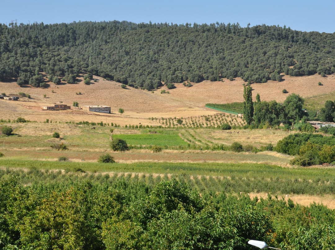 L'Auberge Berbere主图