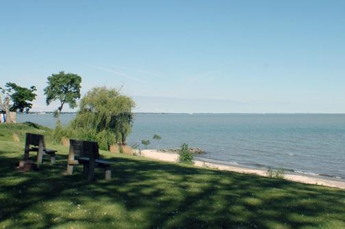 Wild Waves Motel主图