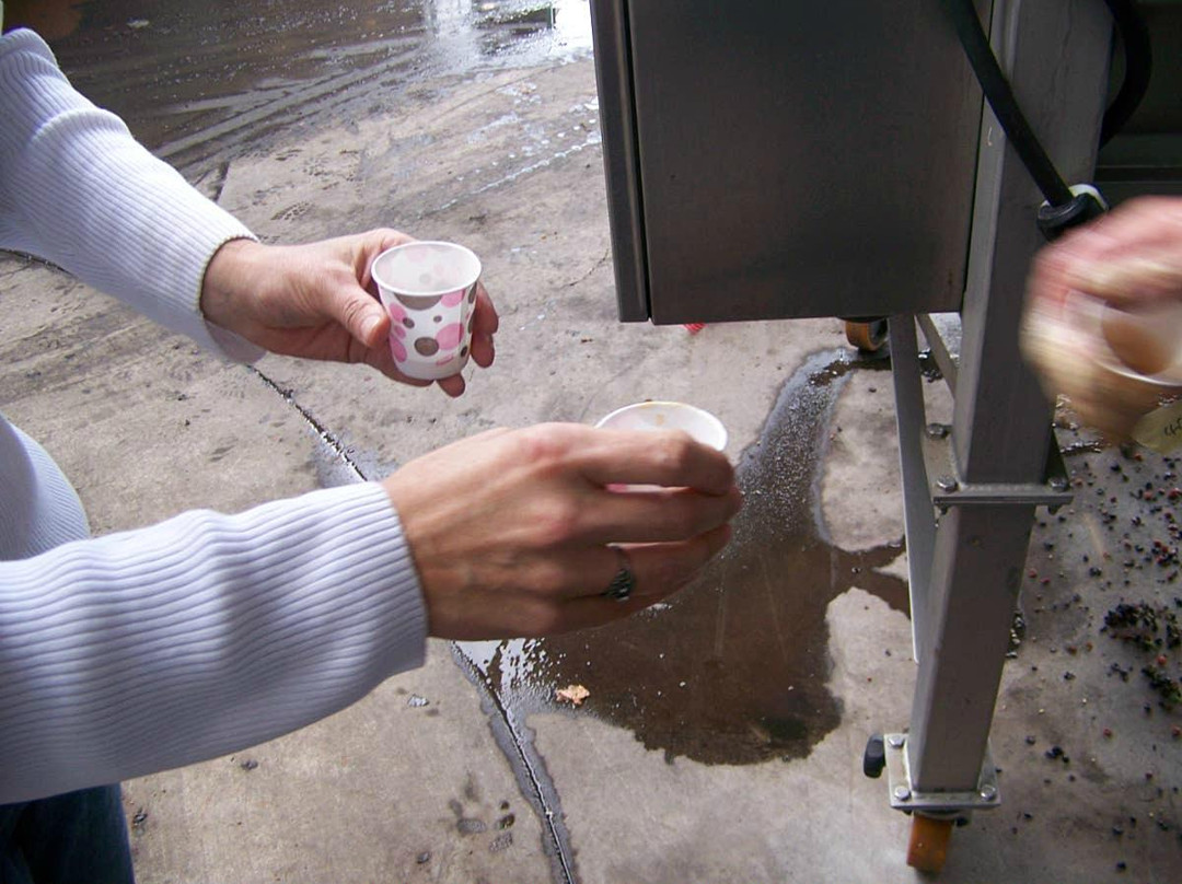 Hood River Winery Tours-The Dalles必去景点