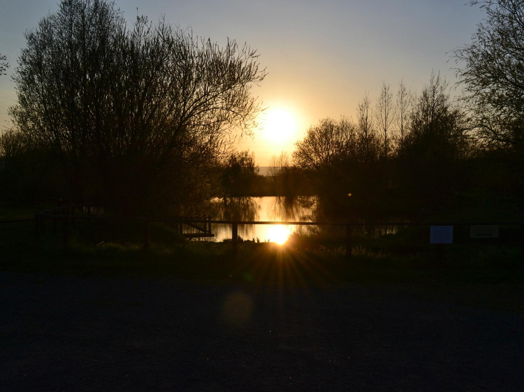 Lower Bruckland Farm Nature Reserve-Musbury必去景点