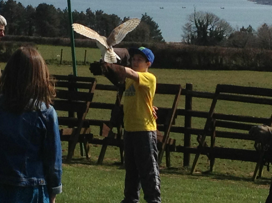 Perriswood Archery & Falconry Centre景点图片