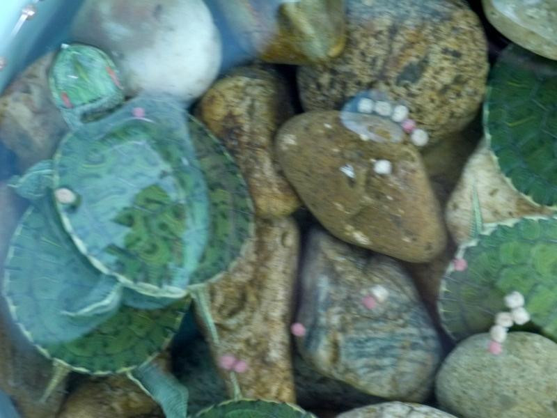 Former Osawa House-习志野市必去景点