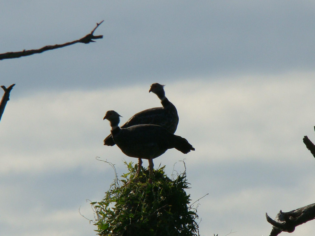 Formosa Receptiva-Formosa必去景点