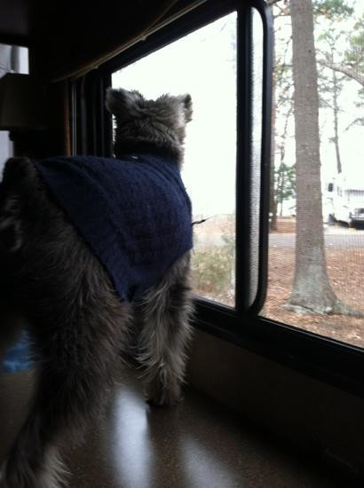 Lake Livingston State Park-利文斯顿必去景点