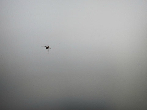 星海琪假日酒店主图