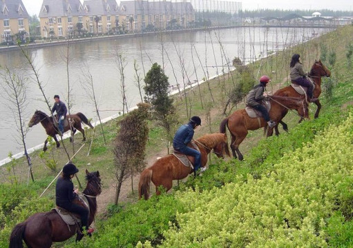 安横沙岛酒店主图