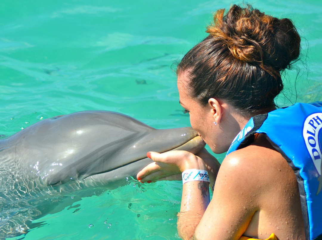 Dolphin Discovery Anguilla-Blowing Point必去景点