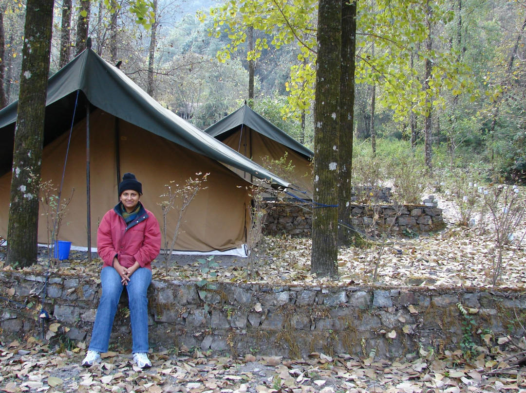Getaway Jungle Camp