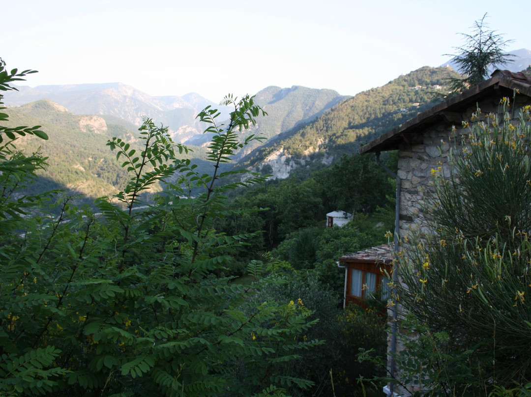 Vedicare Ayurvedic Spa景点图片