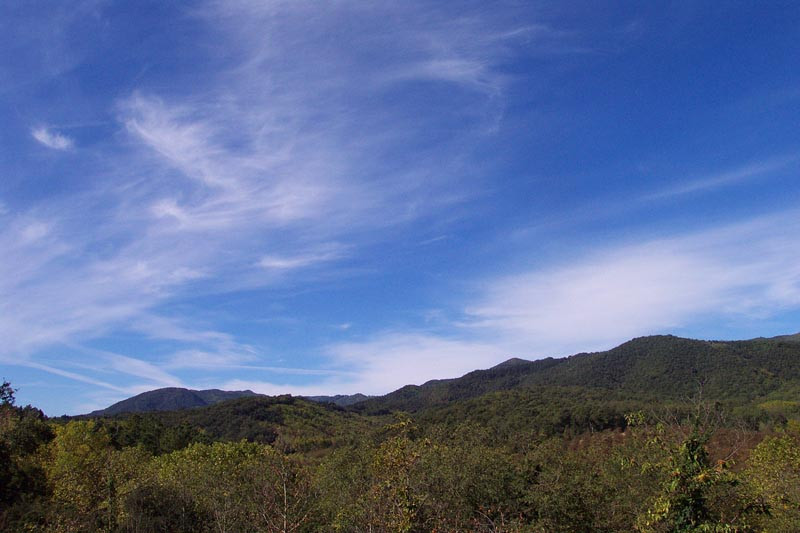 Brunyola餐馆和美食-Mas Can Horta Del Puig