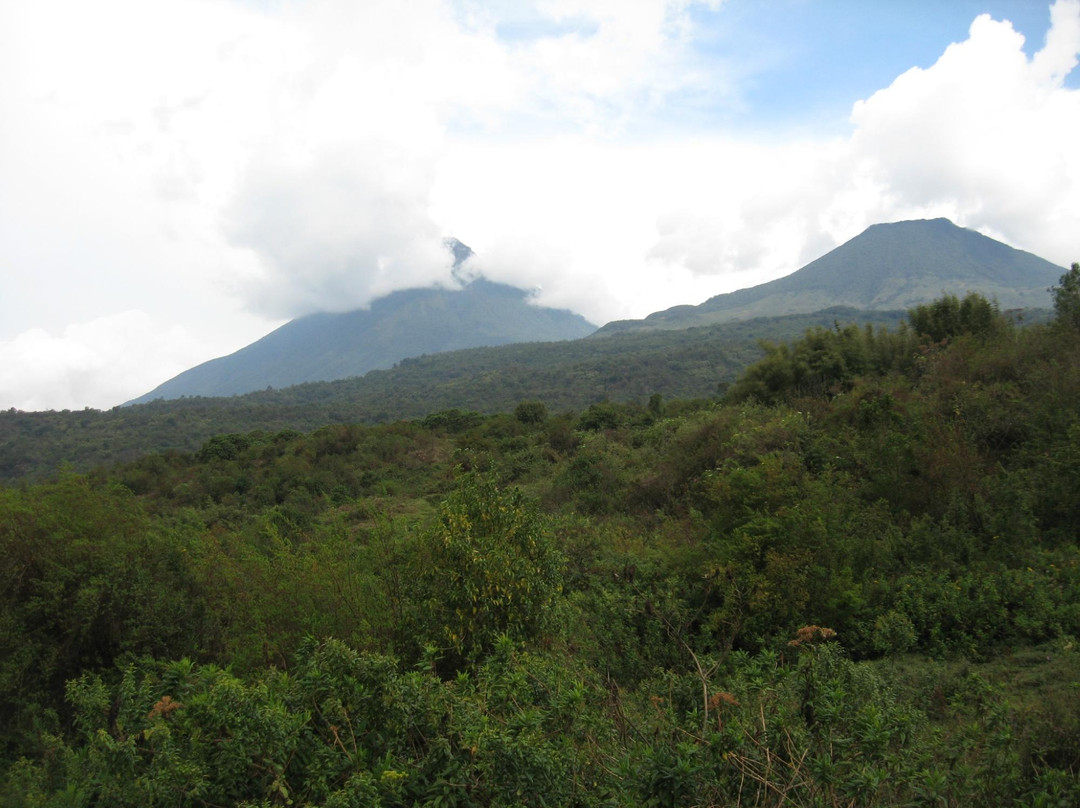 Mount Muhavura-Mgahinga Gorilla National Park必去景点