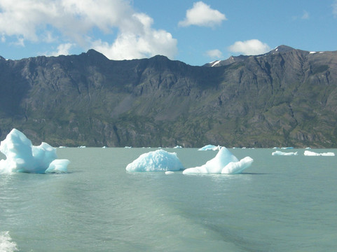 Onelli Glacier-埃尔卡拉法特必去景点