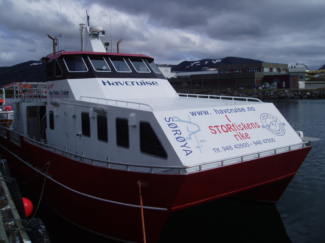 Soroya Havfiskecruise – Day Tours-特罗姆瑟必去景点