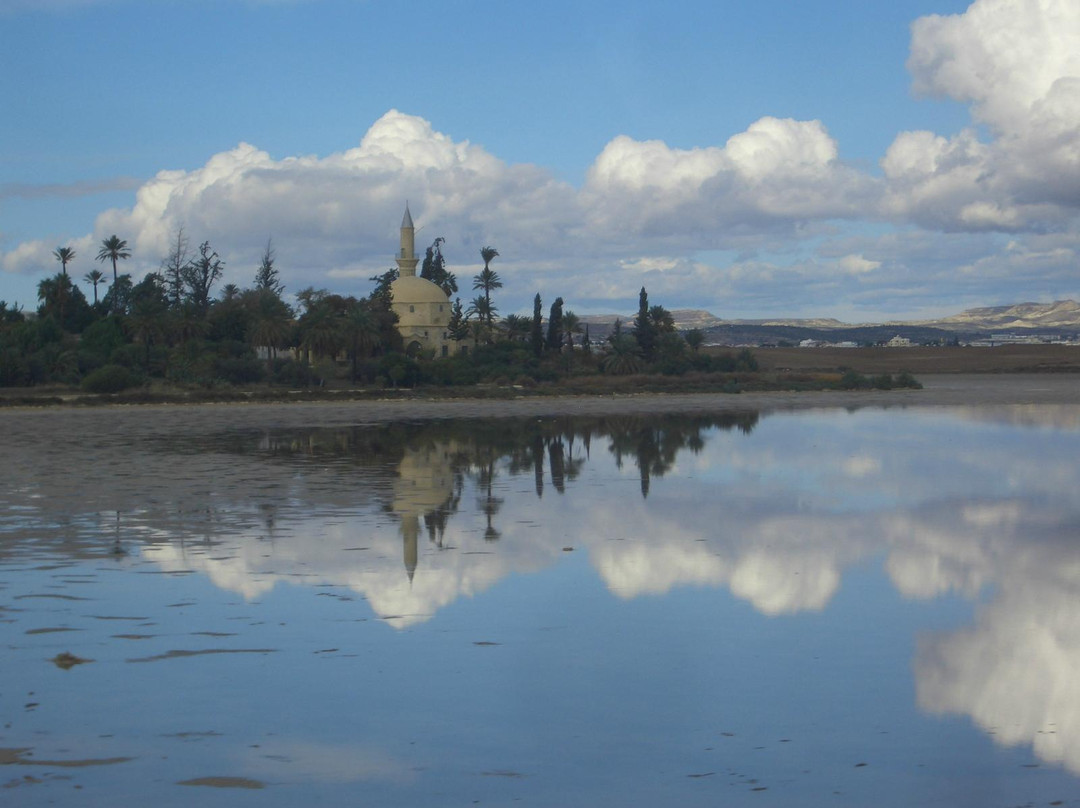 拉纳加旅游景点-Larnaka Salt Lake