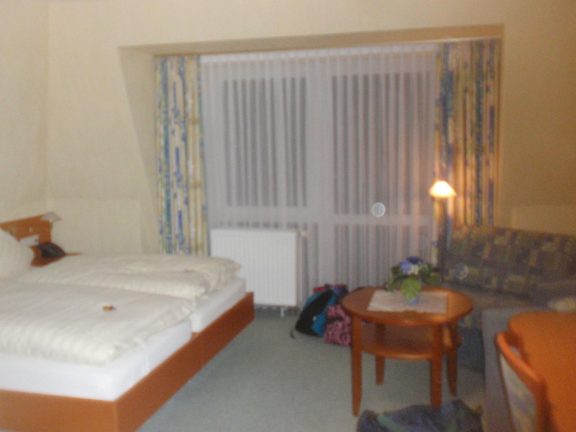 Hotel Zum Deutschen Hause-客卧