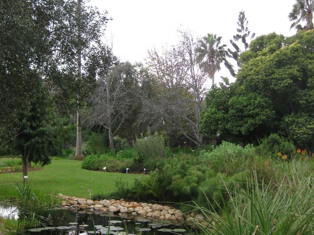 Stellenbosch University Botanical Garden-斯泰伦博斯必去景点