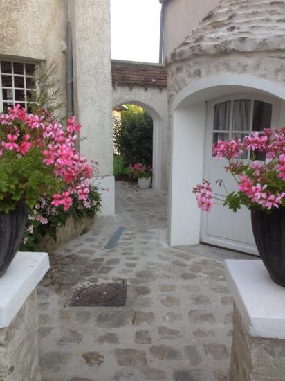 Aux Fleurs de Cerises-酒店景观