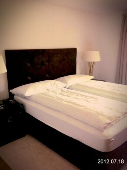 Hotel Des Alpes主图