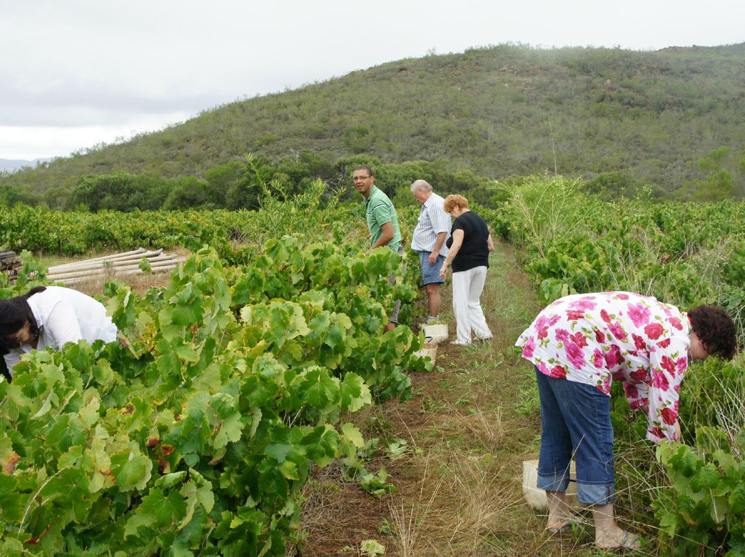 Farmer Redbeard-Ashton必去景点