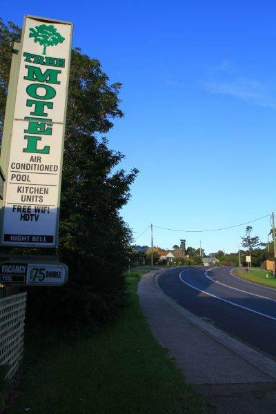 The Tree Motel主图