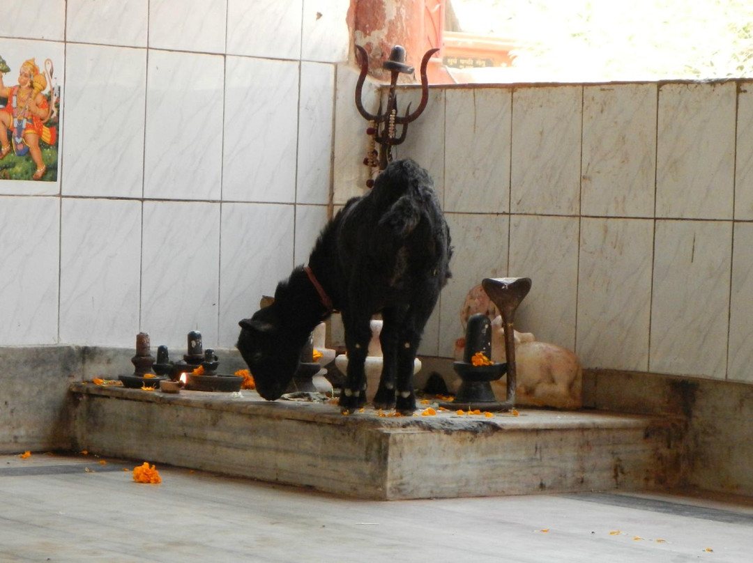 Vashistha Temple景点图片
