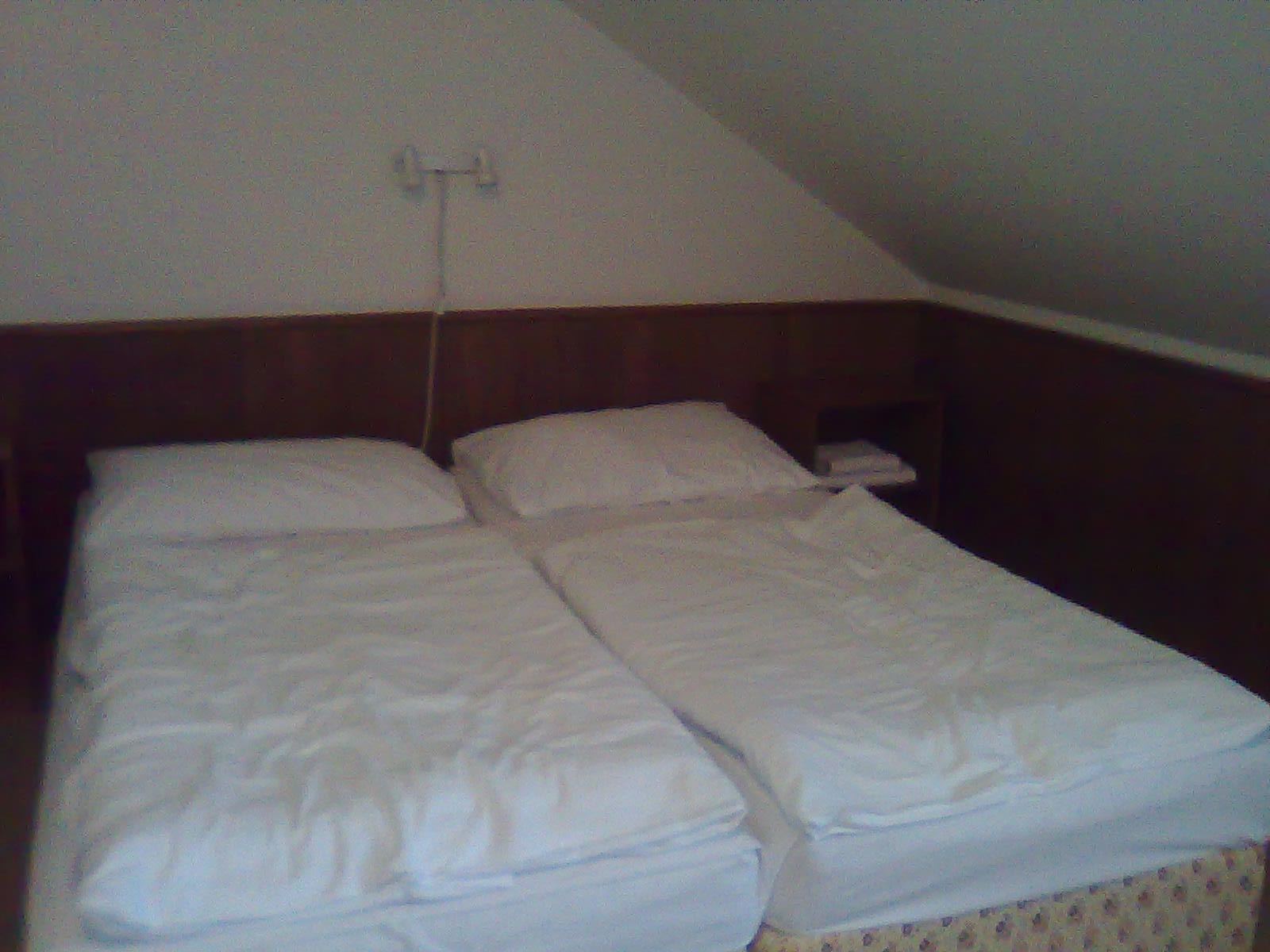 Hotel Floret-客卧