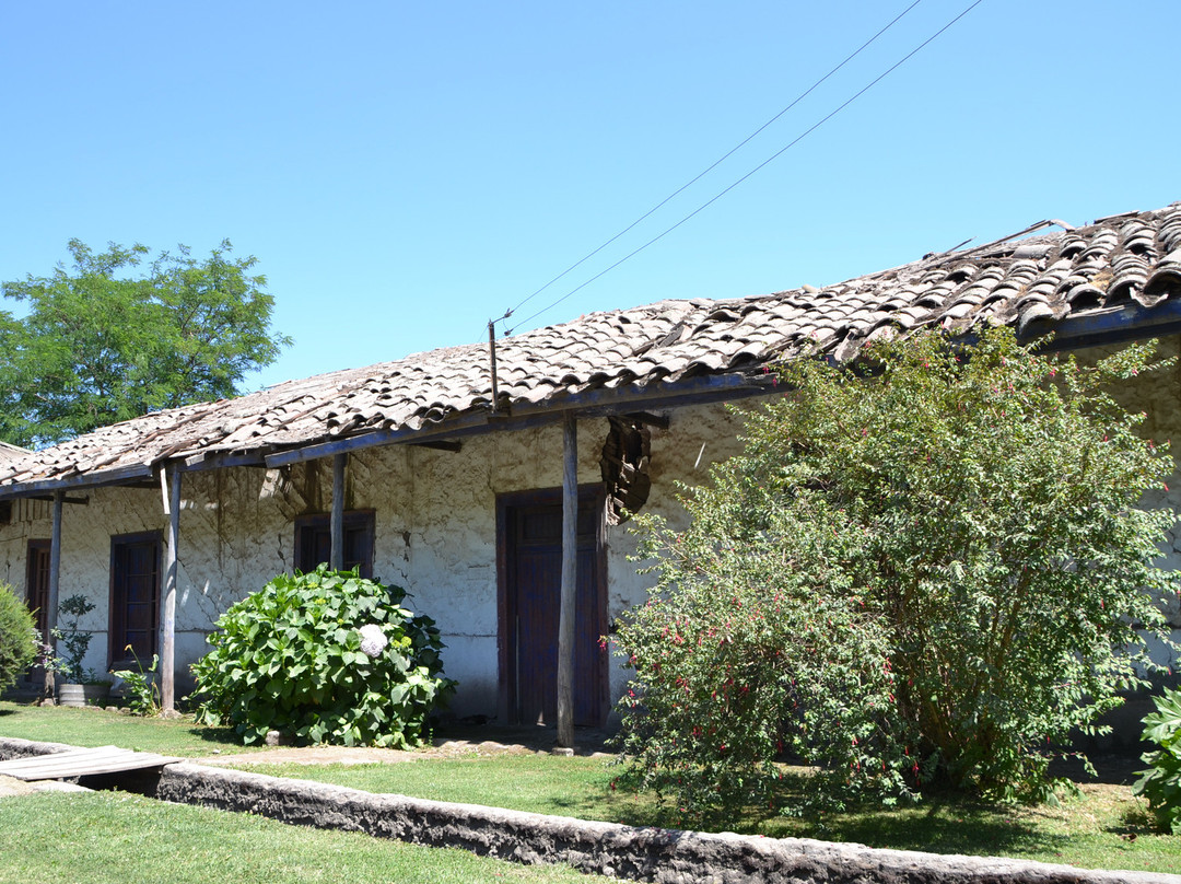 Viu Manent-圣克鲁斯必去景点