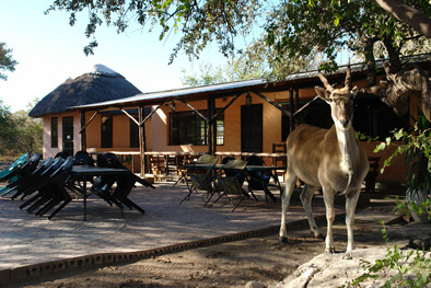 Thakadu Bush Camp