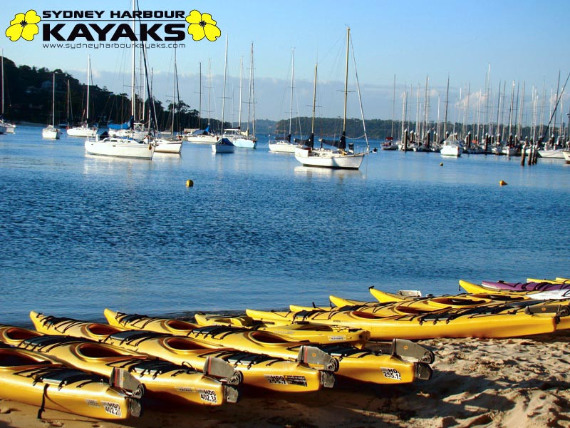 Sydney Harbour Kayaks-莫斯曼必去景点