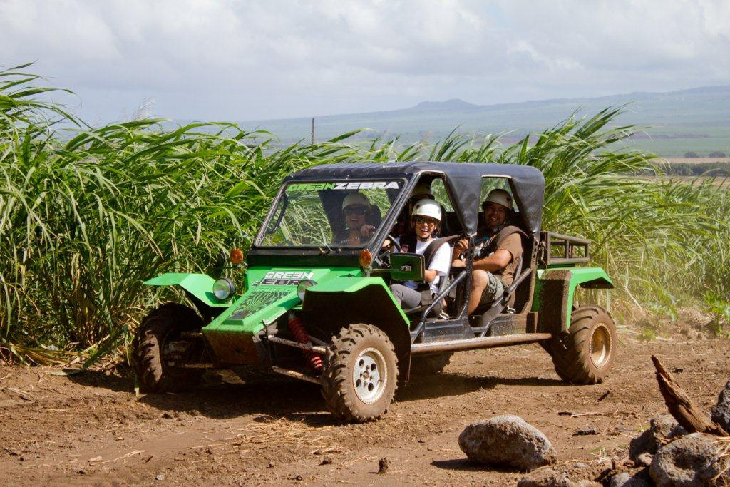 Green Zebra Adventures Maui Day Tours-怀露库必去景点
