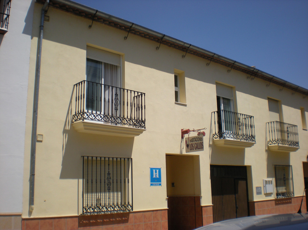 Hostal Los Gallos Casabermeja主图