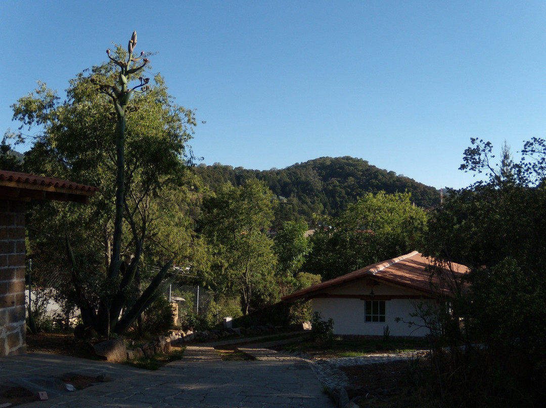 Villa Amacalli主图