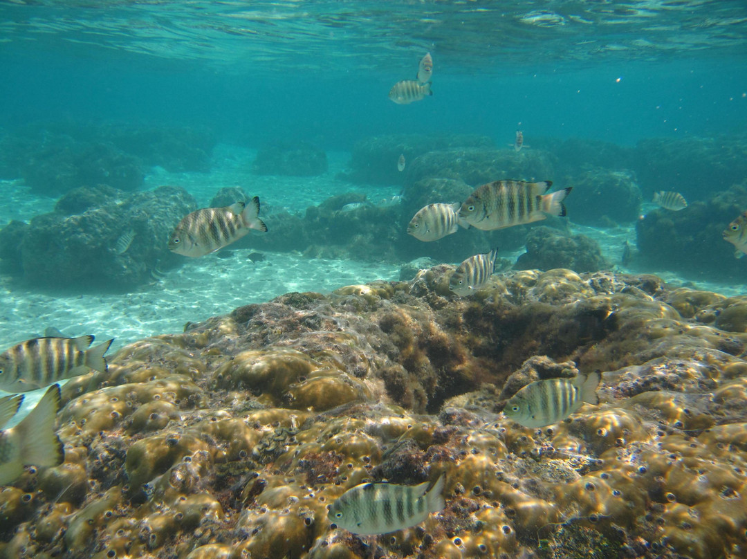 伊保海滨公园-杜梦湾必去景点
