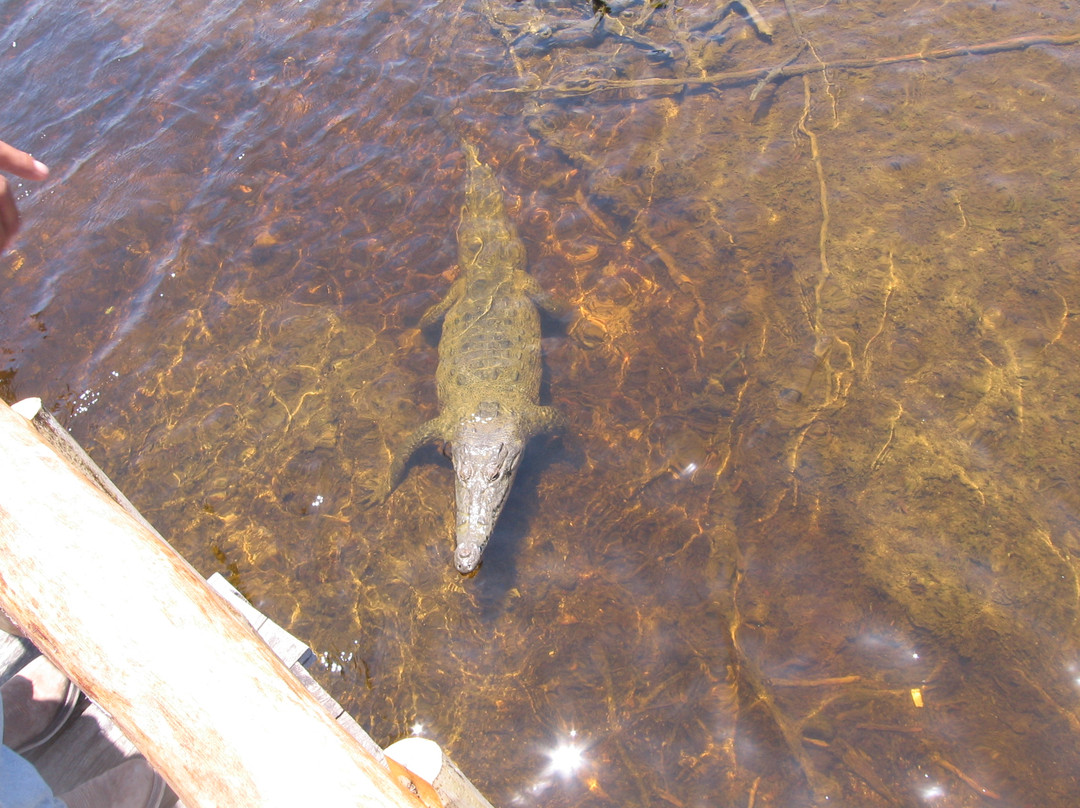 Punta Sur Eco Beach Park-考祖梅必去景点