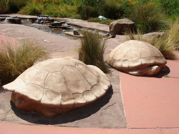 Turtle Bay Exploration Park景点图片