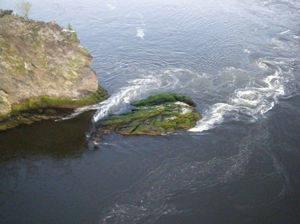 Reversing Falls Rapids-圣约翰必去景点
