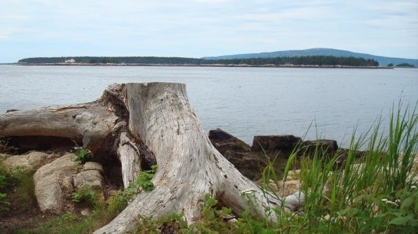 Schoodic Mountain景点图片