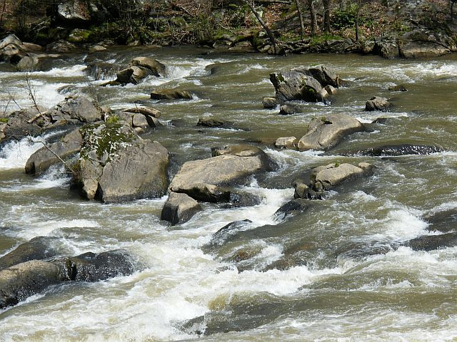 Great Smoky Mountains Railroad景点图片