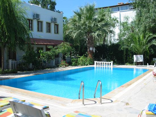 Hotel Hazal-泳池