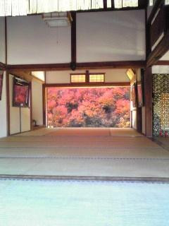 Ankokuji Temple-丰冈市必去景点