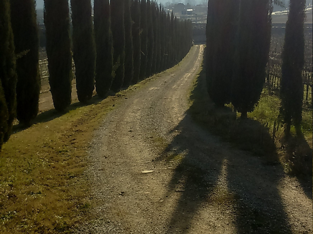 Agriturismo Camugnano