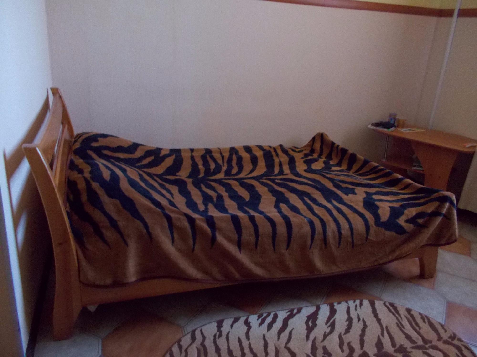 Dama S Sobachkoi-客卧