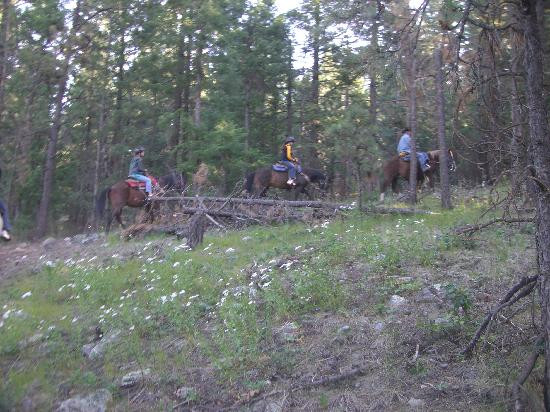 Horse Back Riding at Elk Point Lodge景点图片