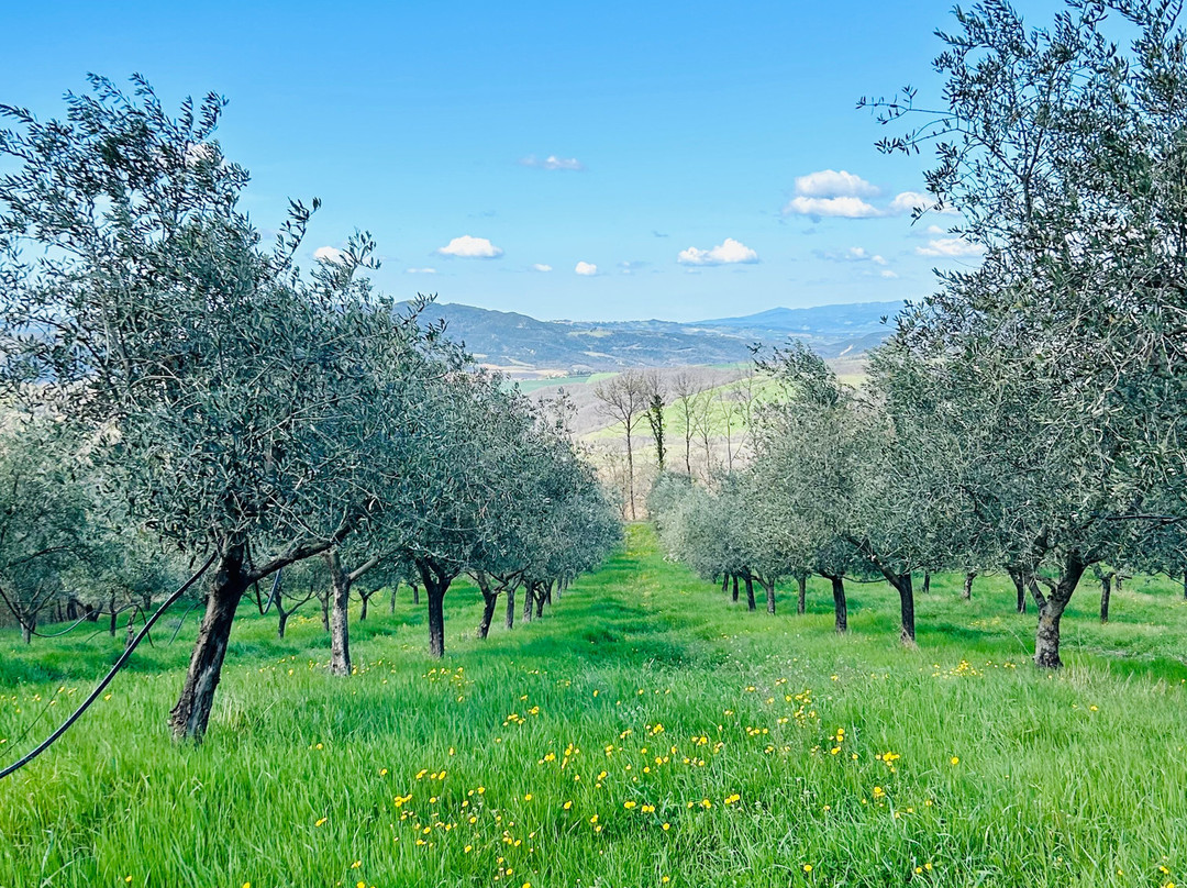 Agriturismo Le Bolli主图