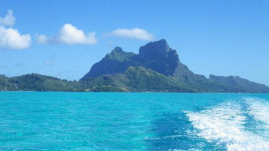 Bora Bora Lagoonarium-瓦伊塔佩必去景点