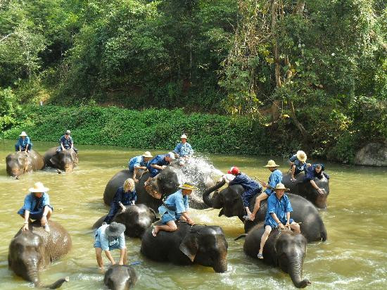 Thai Elephant Conservation Center-南邦必去景点
