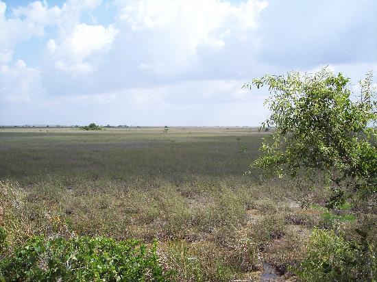 Pa-hay-okee Trail-大沼泽国家公园必去景点