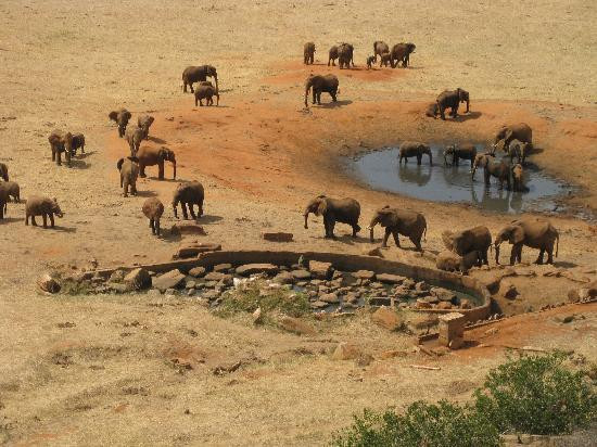 Pollman's Tours & Safaris-蒙巴萨必去景点
