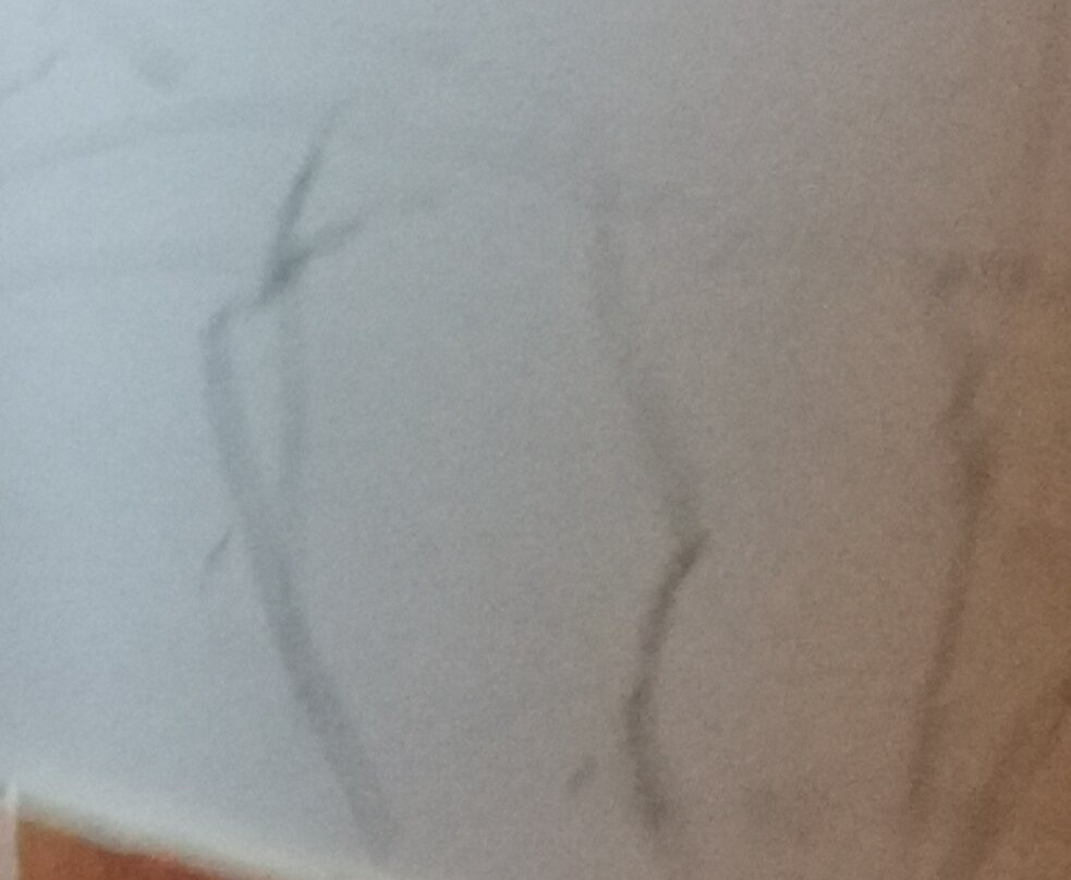 Hotel Or Blanc主图